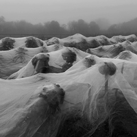 Co Farm Cambridge Cambridgeshire - Covering the winter crops  before the final harvest​.