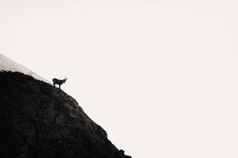 Visioni, in black and white