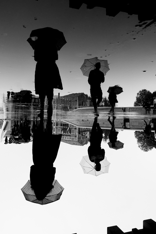 Reflected Lives
