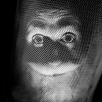 Self-Portrait - 2023/2024 - My 40th Year