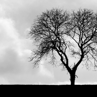 DES LIGNES ET DES COURBES... 