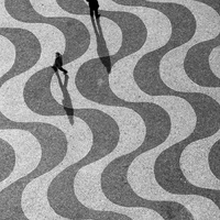DES LIGNES ET DES COURBES... 