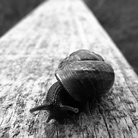 DES LIGNES ET DES COURBES... 