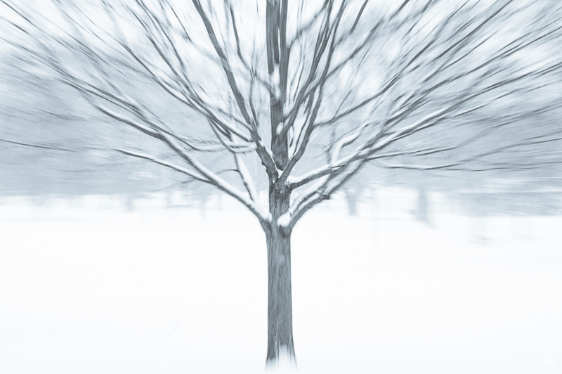 Winter burst