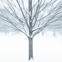 Winter burst