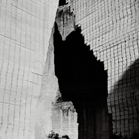 The Shadows I Saw