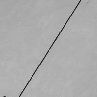 The adventures of a pigeon and its triangle