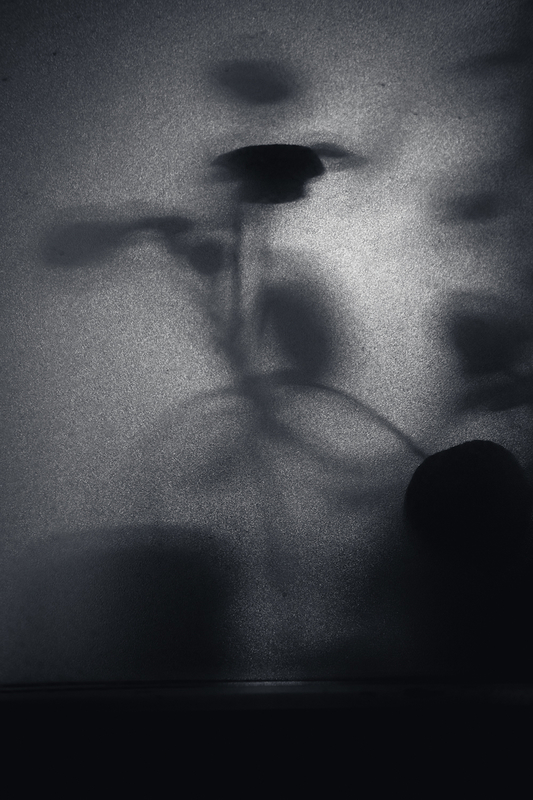 Shadow of a plant