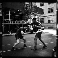 Boxeurs 