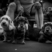 My Buddies & Me