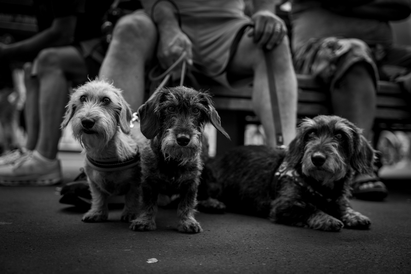 My Buddies & Me