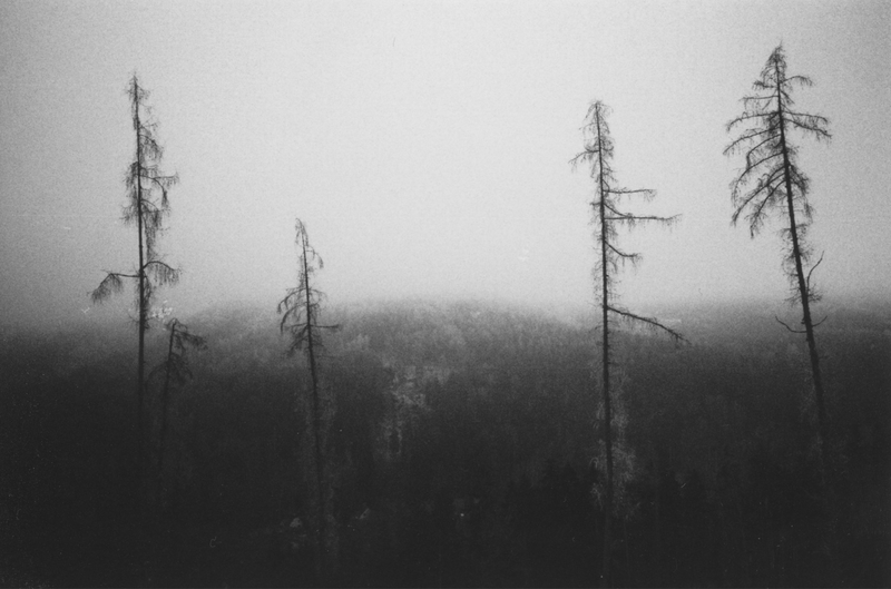 Frostbite