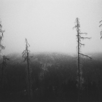 Frostbite