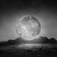 Moon Landing