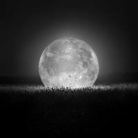 Moon Landing