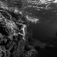 The Man and the Sea