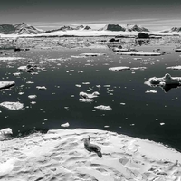 Black & White in Antarctica - Photographs From The Bottom Of The Earth
