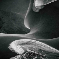 Black & White in Antarctica - Photographs From The Bottom Of The Earth