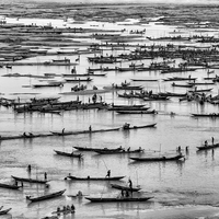 Mass of boats