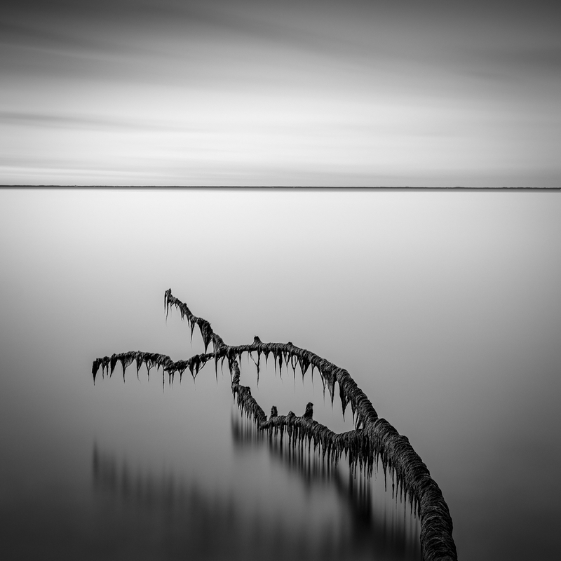 Transience