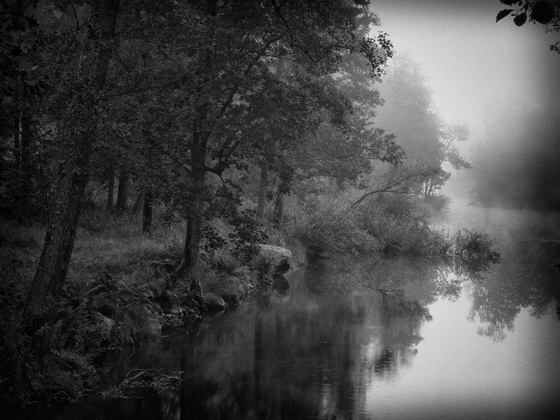 Magical morning