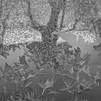 Frost On My Windows