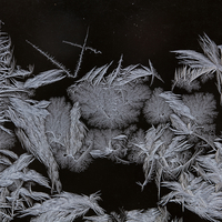 Frost On My Windows