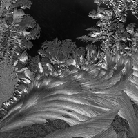 Frost On My Windows