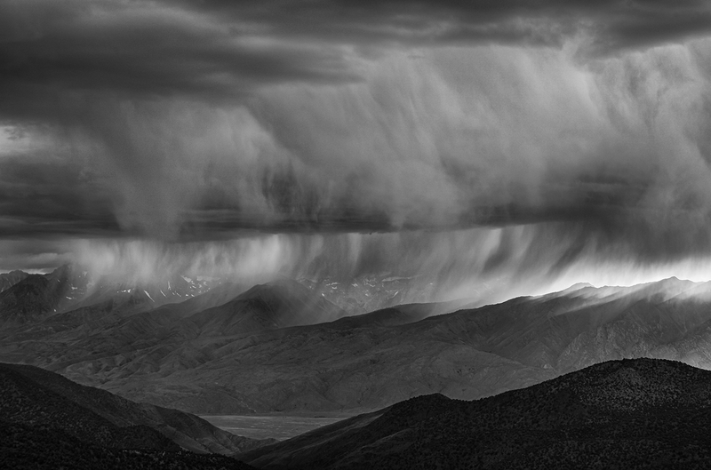 Sierra Rains