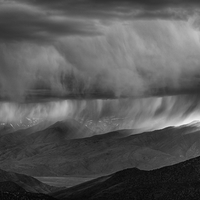 Sierra Rains