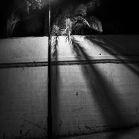 Spirits of Tangier