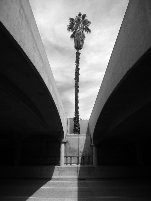 Freeway Underpass
