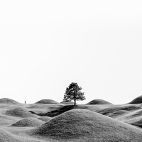 Loneliness