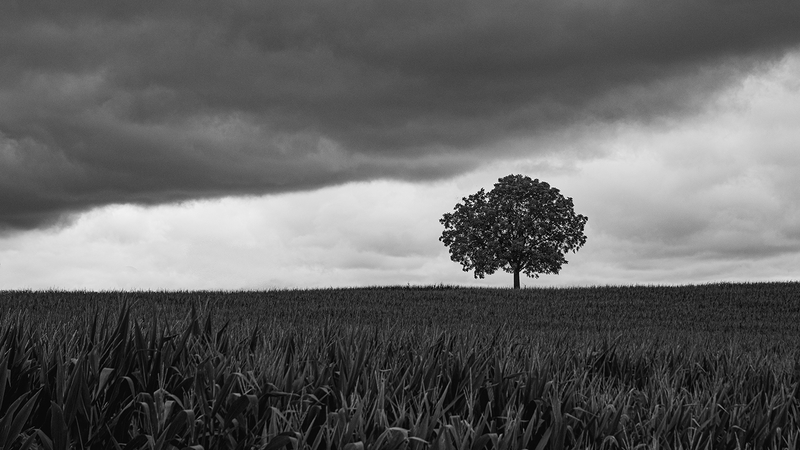 Standing Alone
