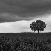 Standing Alone