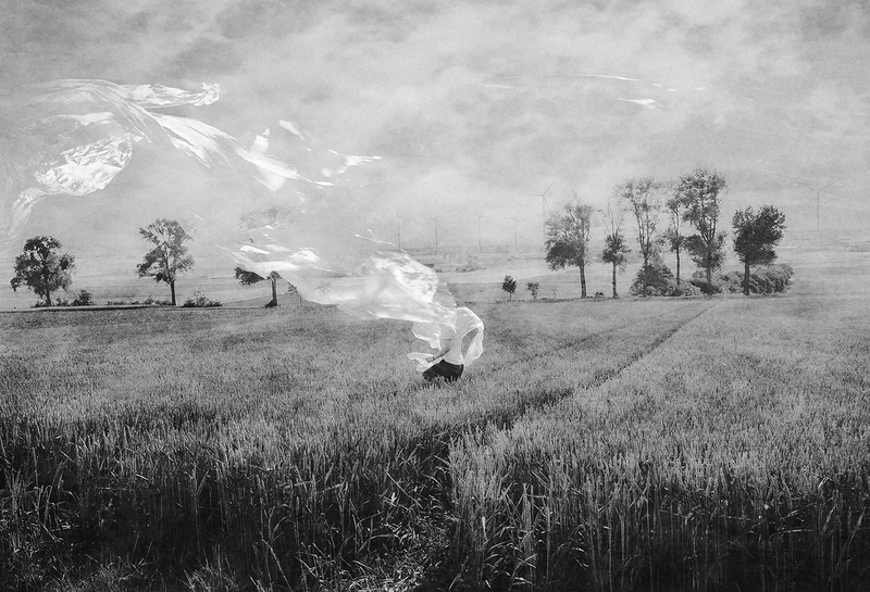 Wandering In The Fields