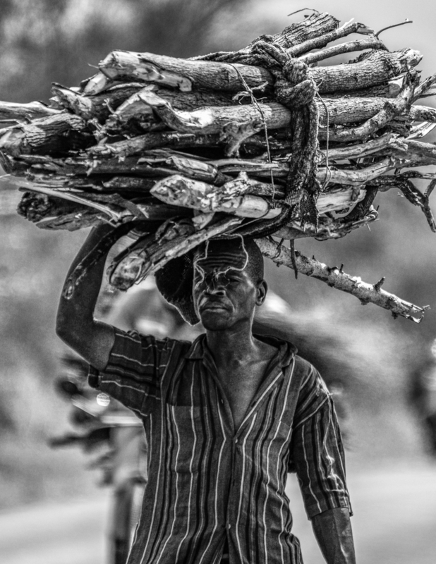 Firewood carrier
