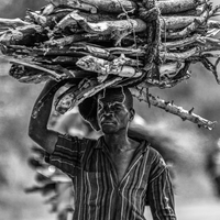 Firewood carrier