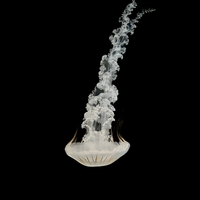 Jelly fish