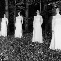 the many of me
