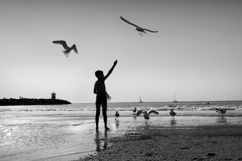 Boy on a beach