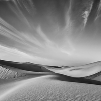 Whispers of the Sands