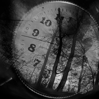 Divine Timing