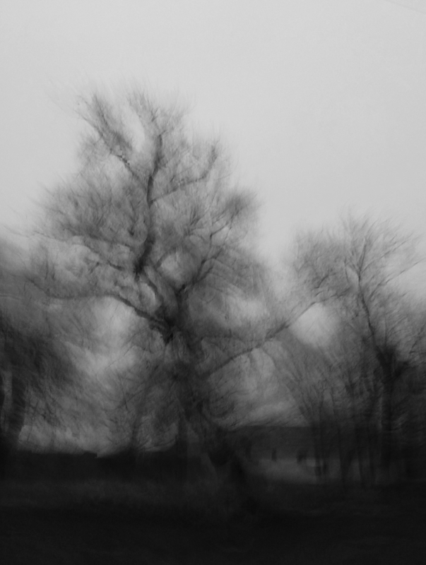 Winters Solace