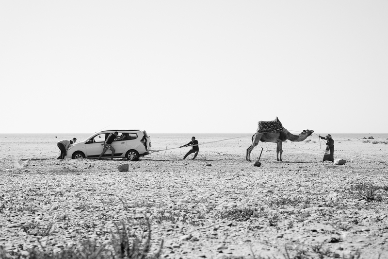 Desert Winch