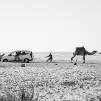 Desert Winch