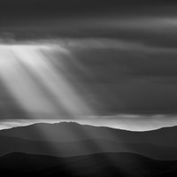 the dawn of a new year