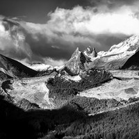 THE WHITE - Last Glacier
