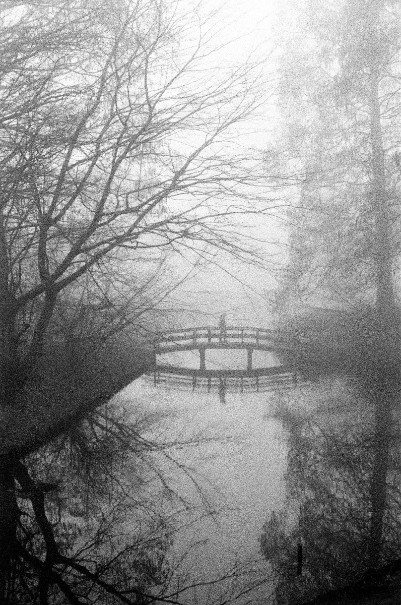 Misty days