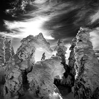 Un hiver fantasmagorique